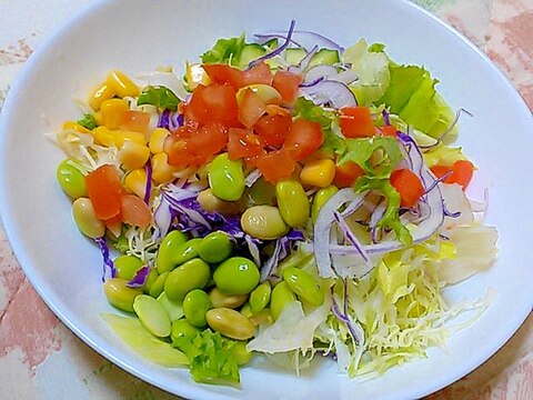 角切り野菜の彩りサラダ